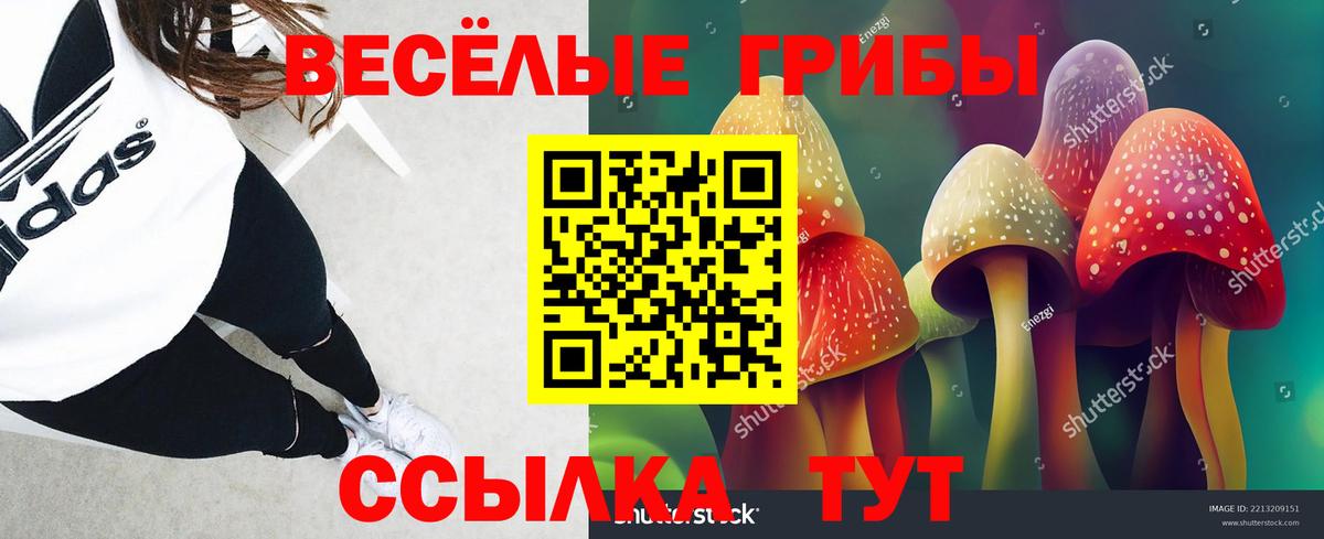 Галлюциногенные грибы Psilocybe  магазин продажи   Красноуфимск  Вход с VPN 
