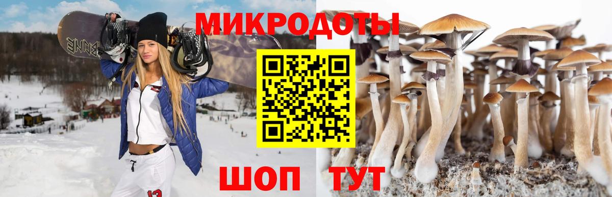 Галлюциногенные грибы MAGIC MUSHROOMS Красноуфимск